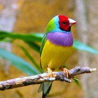 @photo1900
