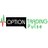 Options Trading Pulse