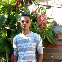 Ronaldo Pereira