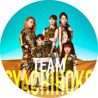 Team Syachihoko