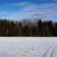 @sergei777