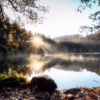 @Sylvia12745711
