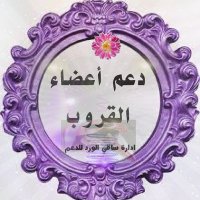 @44mmz