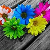 @lRYJ2au83cS5FyG