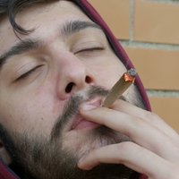 @weed_supply