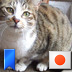 F414bcce d71a 4603 9354 ccae967f9a0d reasonably small