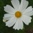 suzu030205
