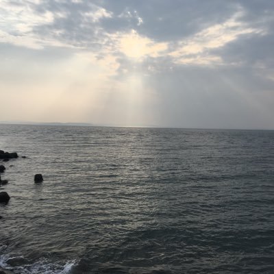 The profile image of ropia556