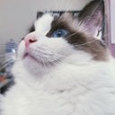 はらみ⛅たん