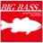 BIGBASS66