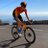 Wout Poels