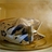 Twitter result for The Cotswold Company from BlastoButter