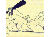 ForoFeminista