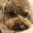 The profile image of DQLGrrniNrr2Sd4