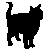 @banirabanira