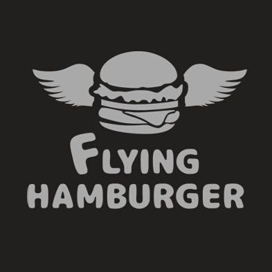Flying Hamburger X