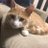 KIMURAfxcat