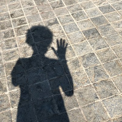 twitter user profile image