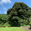 青梅市吉川英治記念館