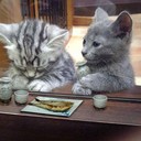 nya@なんたらかんたら