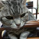 ヤマダジエンド