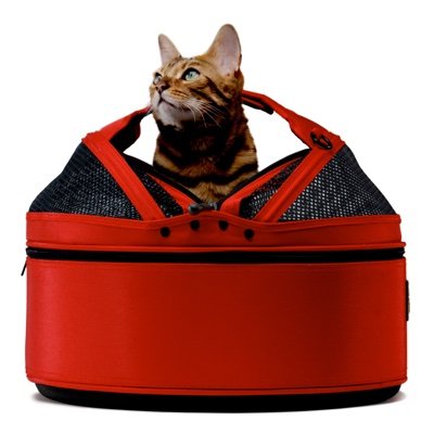 Sleepypod Twitter Hesabı Profil Fotoğrafı Sleepypod Twitter Hesabı Profil Fotoğrafı