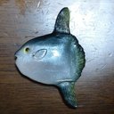 んげしょうま