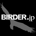 野鳥･自然ニュース - BIRDER.jp