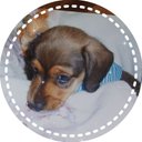 Lf5qw0lj reasonably small