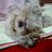 The profile image of poti1113