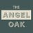 The Angel Oak