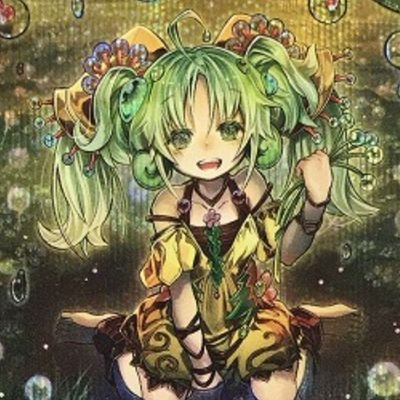 The profile image of seira_ygo