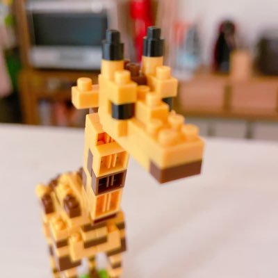 GIRAFFE_mbbc