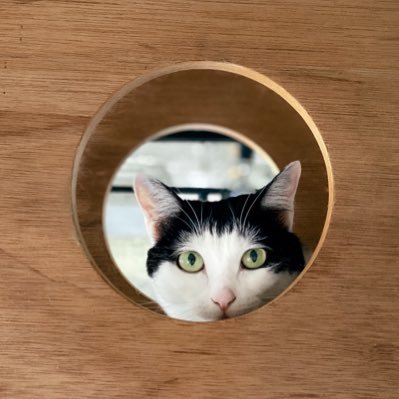 アバター画像