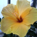 2011082614210000 reasonably small