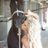 Pornstar Devon Lee on Twitter Pornstar Devon Lee on Twitter