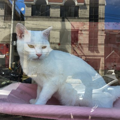 zzz on Twitter 트위터 들어오면 무조건 1딸 게이 대물 섹트 gay https t co