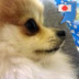 4f87038b ba26 4c76 bfbc ee11c743c8e2 reasonably small
