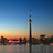 Toronto Roundup