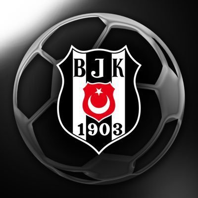 Beşiktaş JK Futbol Akademisi