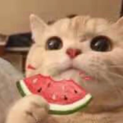 420reservoircat