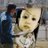 Twitter result for AA Travel Insurance from nzee0103