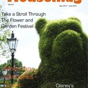 MouseMag