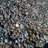 Img00679-20120402-1537_normal