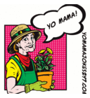 YoMamaJokes247