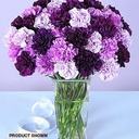 زهره البنفسج (@006512) Twitter