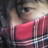 @makoto_spirit77