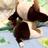 yumi_mangosteen