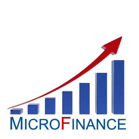 microfinance enters the marketplace microfinance enters the marketplace