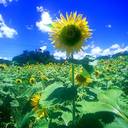 0804578893456 (@0025876985) Twitter